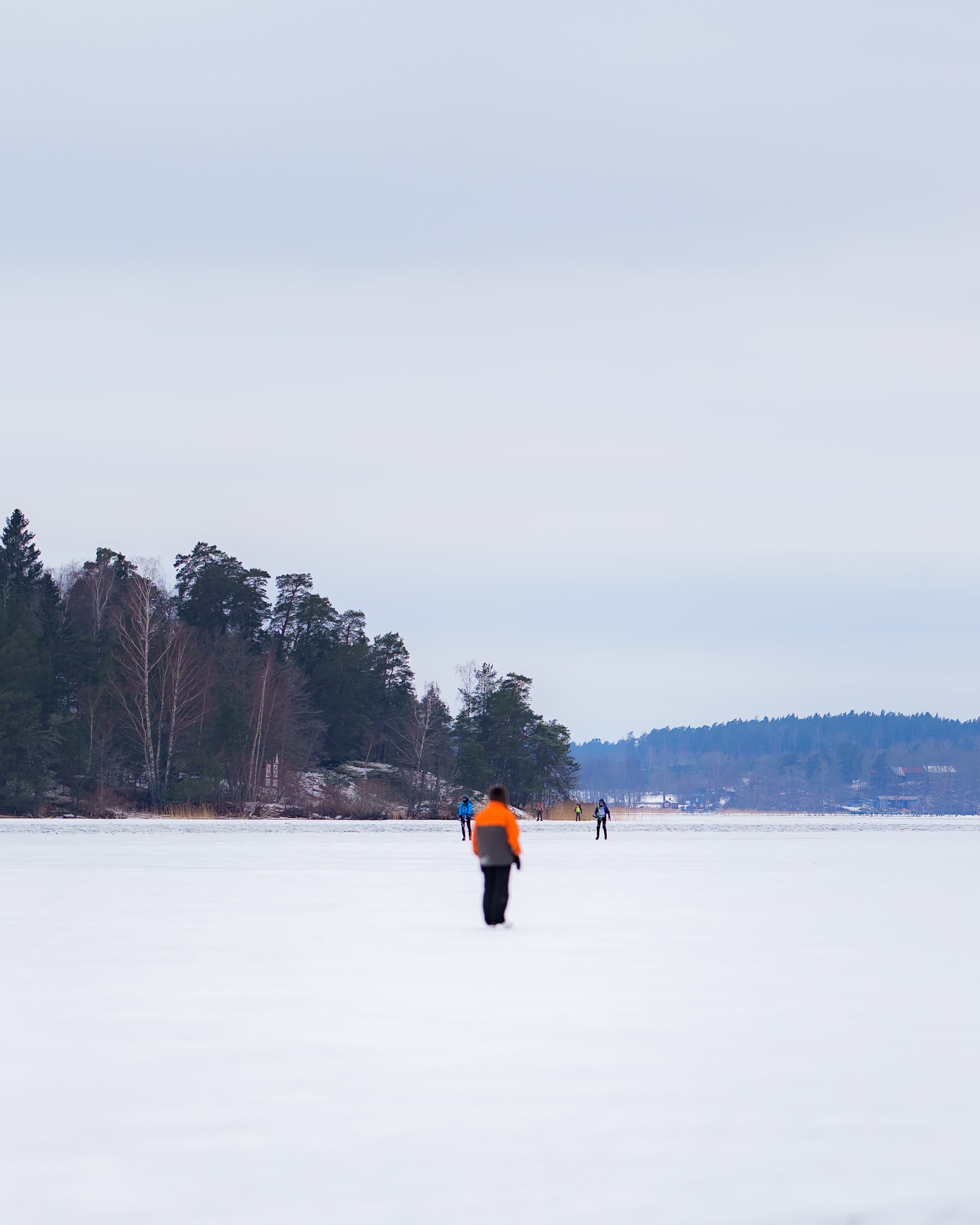 Frozen Lake Hasselby - a winter landscape photograph