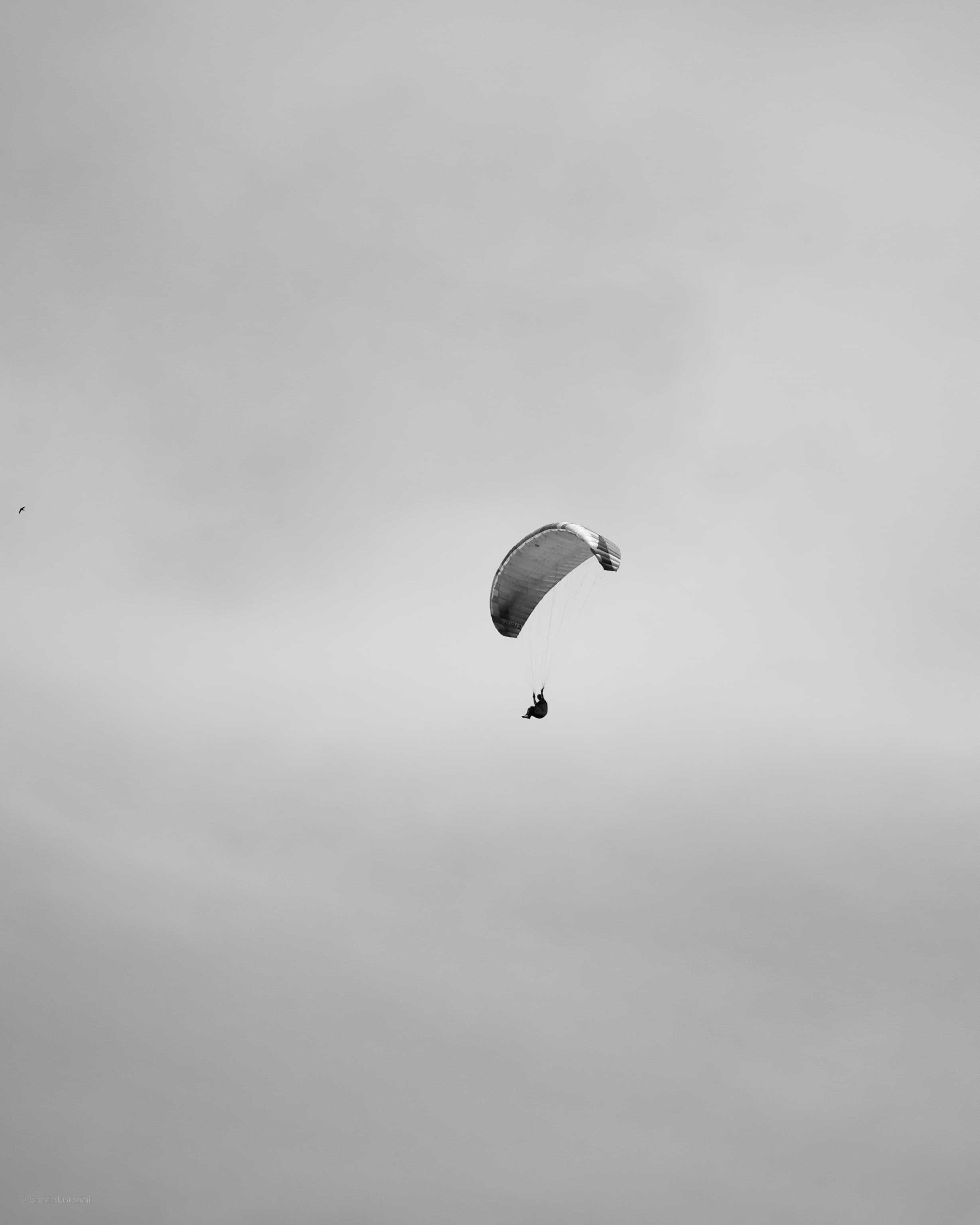 Paraglider - an aerial sports photograph