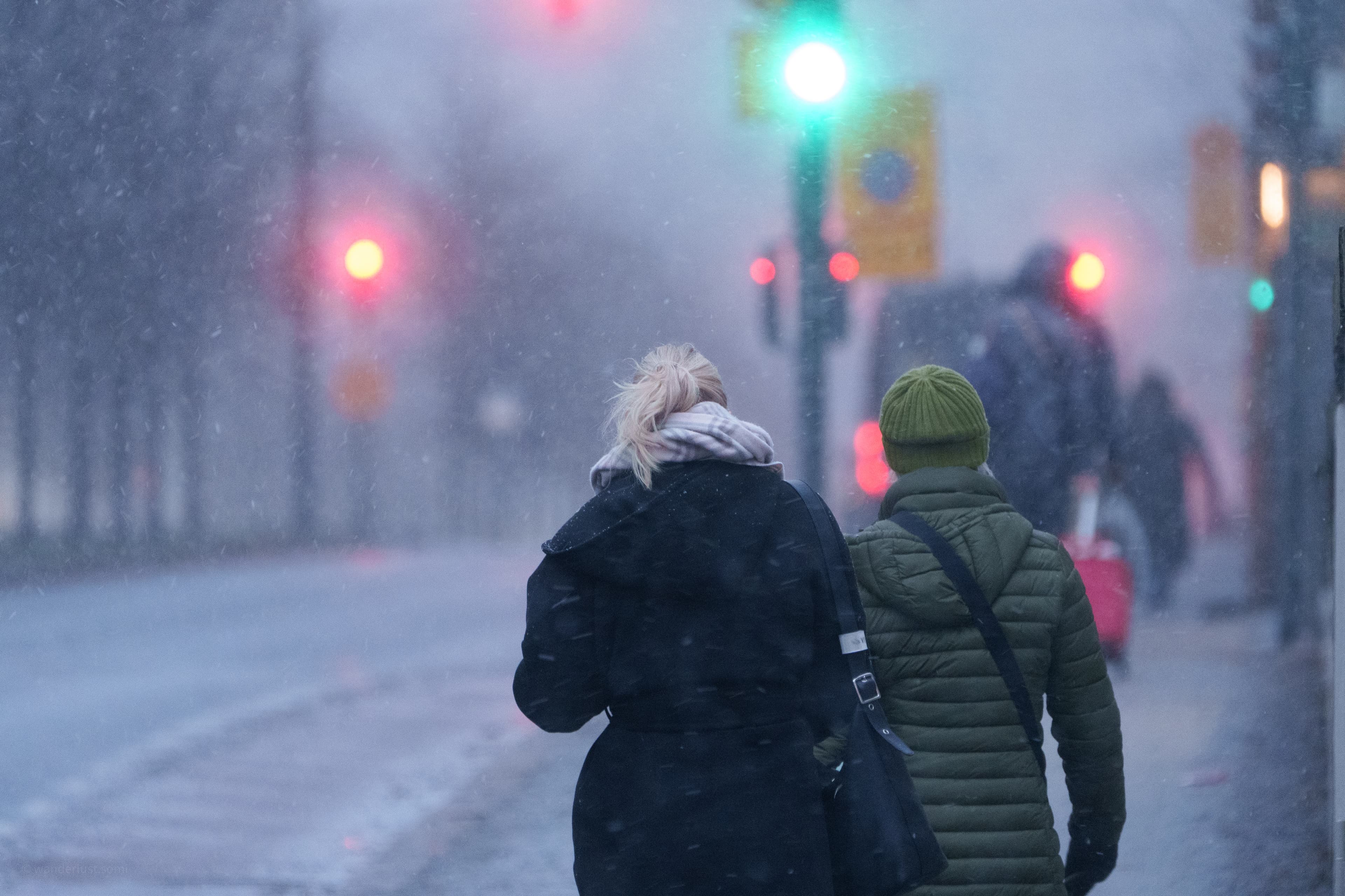 Snowful Day - a winter scene photograph