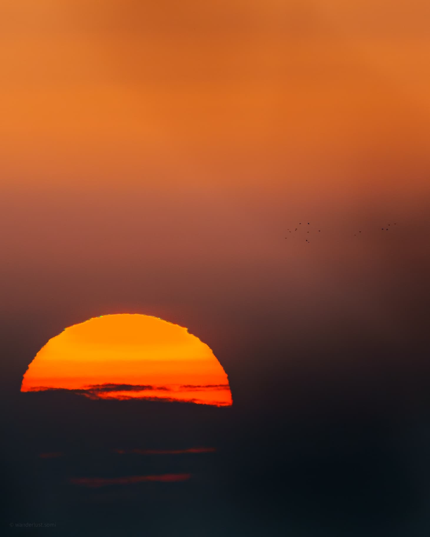Sunset Far Birds - a landscape wildlife silhouette photograph