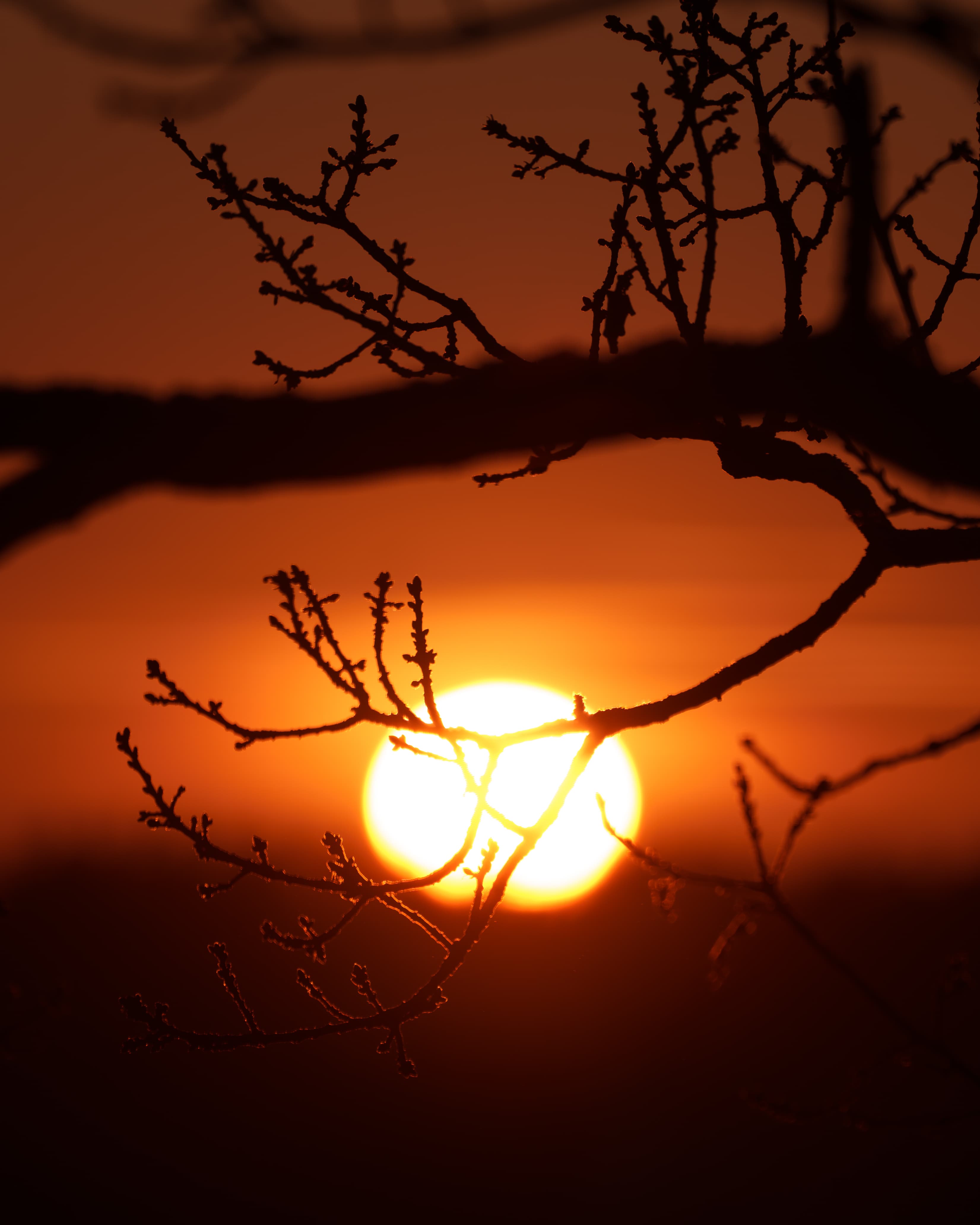 Sunset Red - a landscape sunset photograph