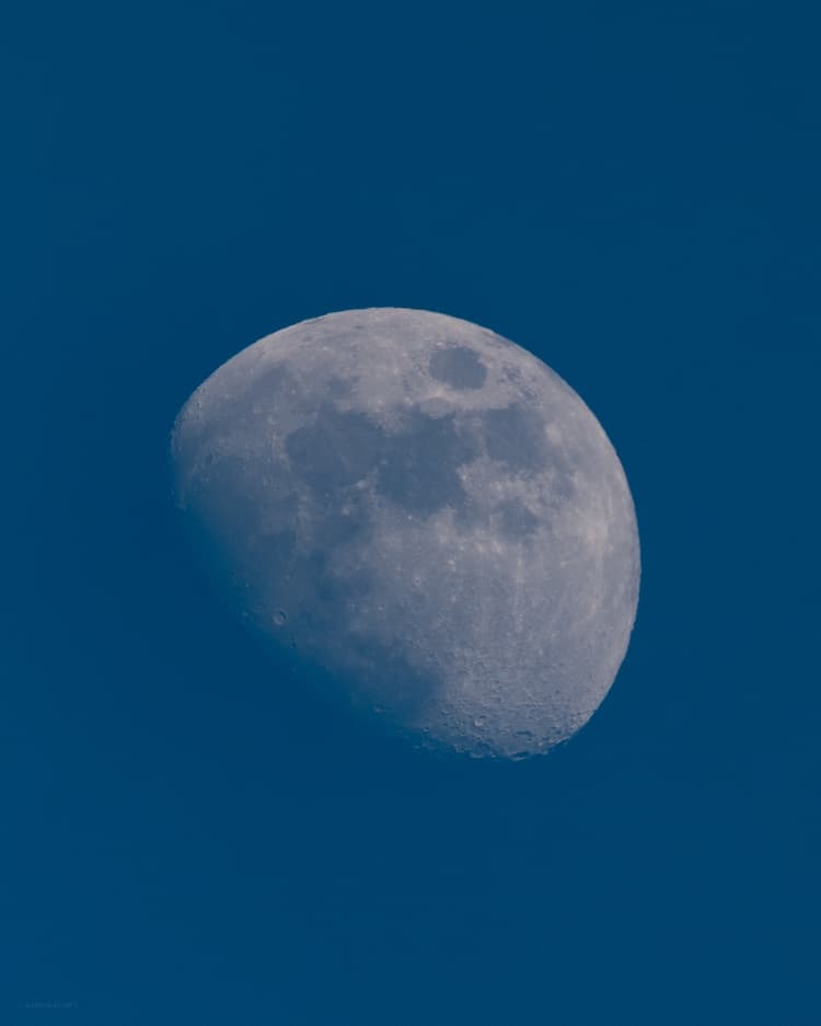 The Unhabitat Orbital